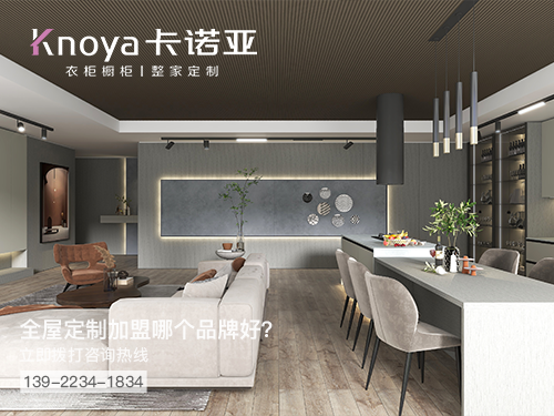 河池市全屋定制加盟哪个品牌好?