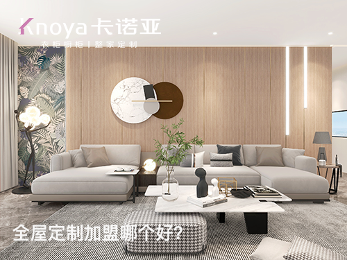 2023年河北全屋定制加盟选什么品牌好？